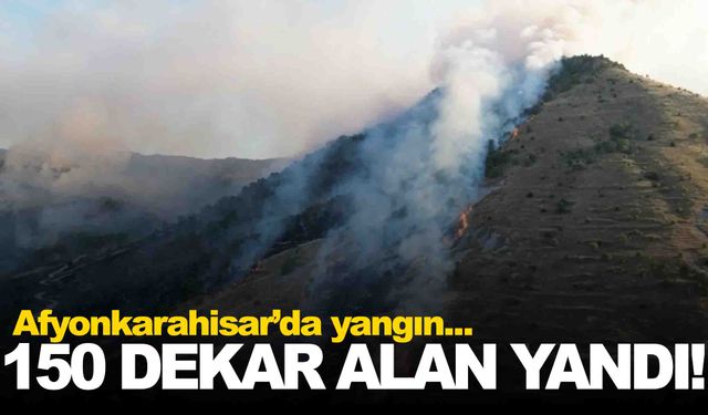 Afyon’da orman yangını… 150 dekar alan zarar gördü!