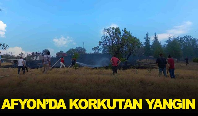 Afyonkarahisar’da ot yangını paniğe neden oldu