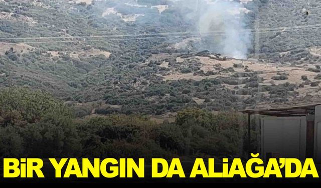 İzmir’de üst üste yangınlar… Bu kez de Aliağa’da başladı!