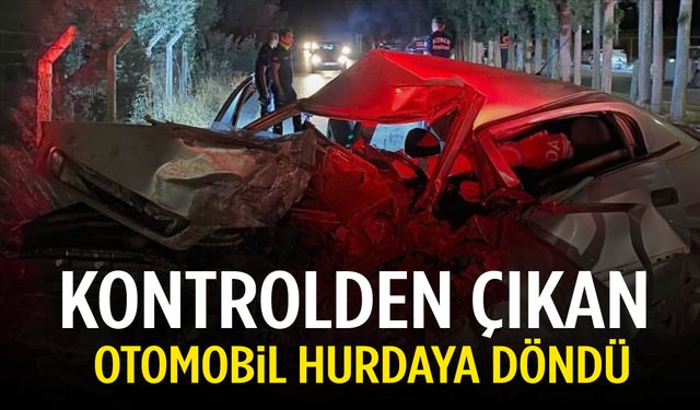 Aydın’da direksiyon hakimiyetini kaybeden sürücü hayatını kaybetti