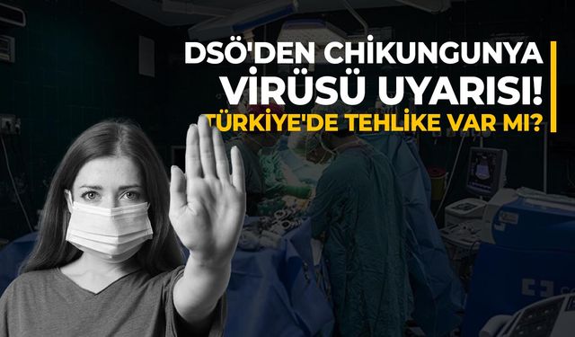 DSÖ'den Chikungunya Virüsü Uyarısı! Türkiye'de Tehlike Var Mı?