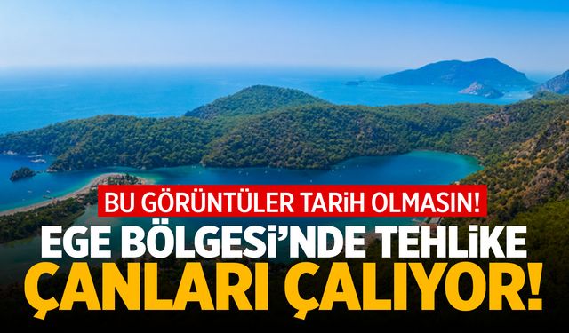 Ege Bölgesi için tarih verildi: 2100 | Çocuklarımız görecek...
