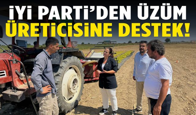 İYİ Partili Aytaç: Üzüm üreticimiz zor durumda