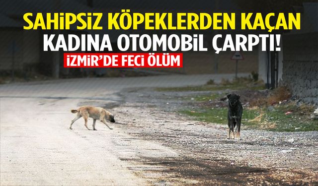 İzmir’de kahreden ölüm: Sahipsiz köpeklerden kaçarken otomobil çarptı