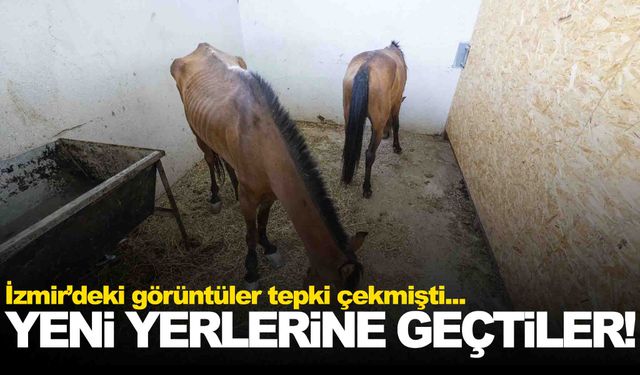 İzmir’deki görüntüler tepki çekmişti… Harekete geçildi!