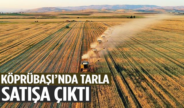Manisa Köprübaşı’nda 2 milyonluk tarla satışa çıktı!
