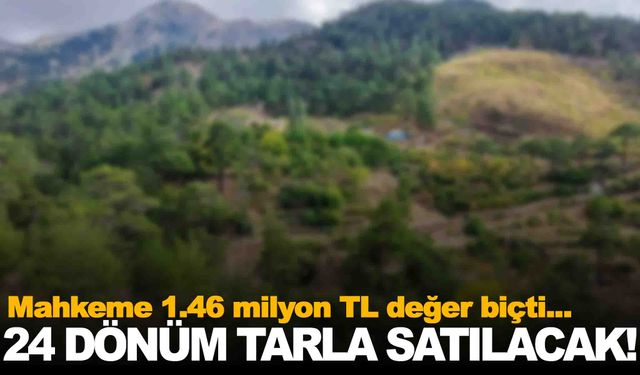 Manisa Köprübaşı’nda 24 dönümlük tarla satışa çıkıyor!