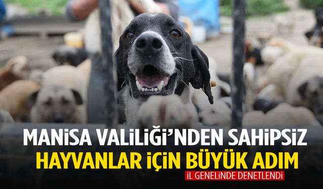 Manisa Valiliği’nden sahipsiz hayvanlar için büyük adım!