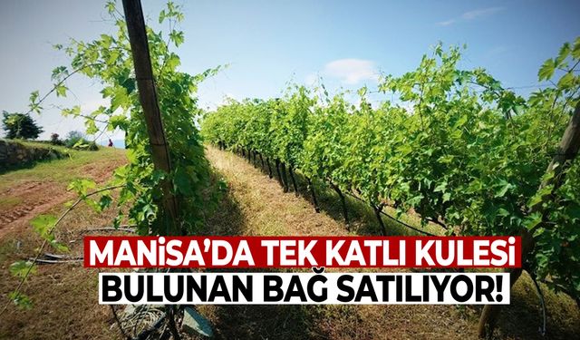 Manisa’da tek katlı kuleli bağ satılıyor!