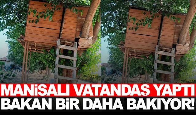 Manisalı vatandaşın ‘Ağaçkondu’su ilgi odağı oldu!