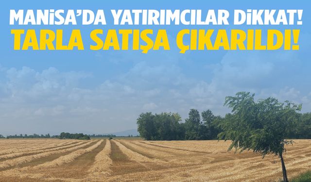 Ahmetli’de 16 bin metrekarelik tarla satışta!