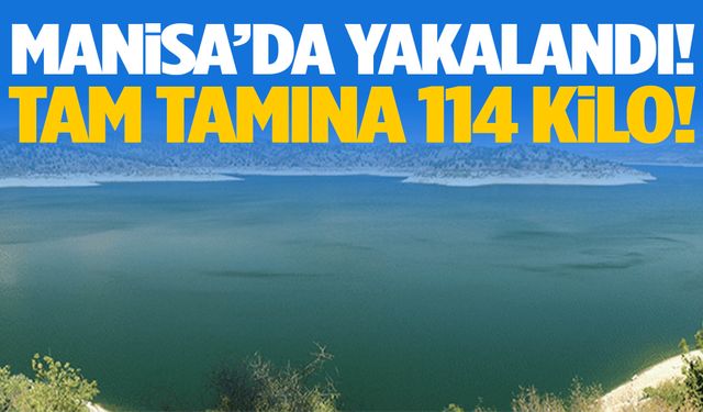 Tam tamına 2,15 boyunda… Manisa’da yakalandı!