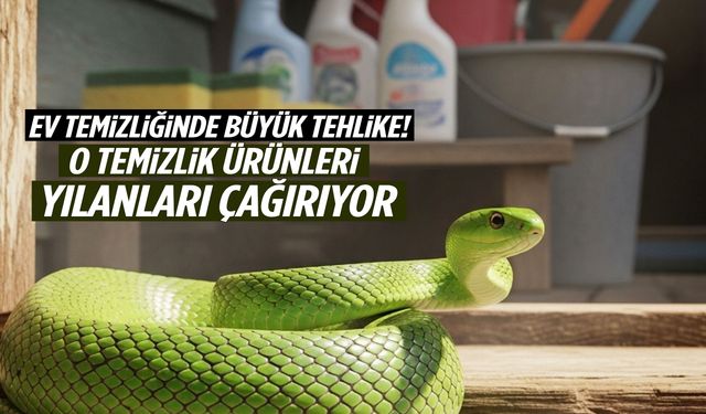 Sakın bu temizlik malzemelerini kullanmayın! Yılanlar anında geliyor…