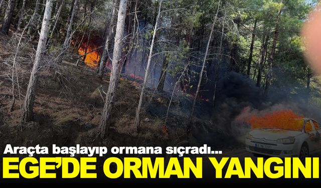 Seyir halindeki araçta başlayan yangın ormana sıçradı!