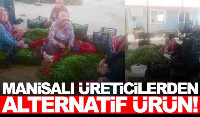 Kuraklık baş gösterince Manisalı üretici yeni çözüm yolu buldu!