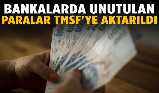 Bankalarda unutulan paralar TMSF'ye aktarıldı