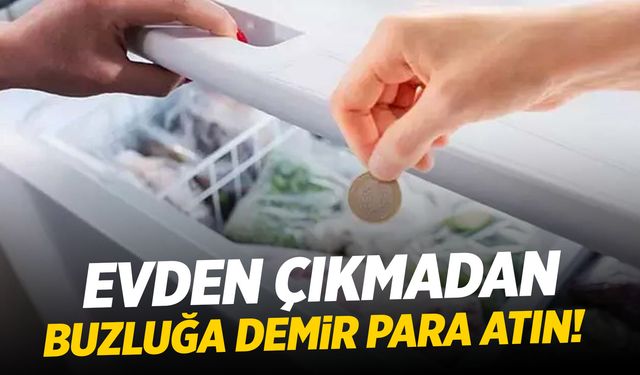 Tatile giden yapsın! Buzluğa madeni para atmak yetiyor