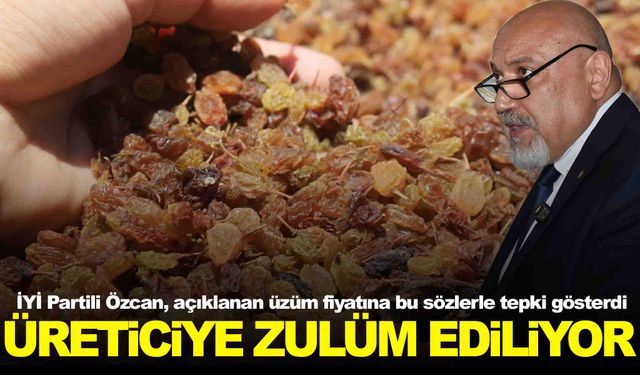 İYİ Partili Gürhan Özcan’dan üzüm fiyatına tepki: “Üreticiye zulüm ediliyor”