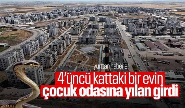 4’üncü kattaki bir evin çocuk odasına yılan girdi