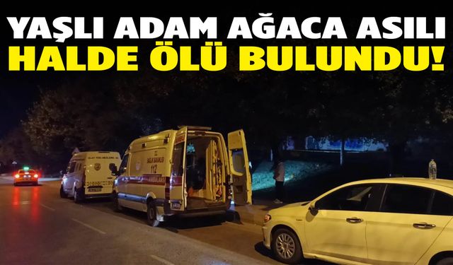 Yol kenarında dehşet: Ağaçta asılı ceset bulundu