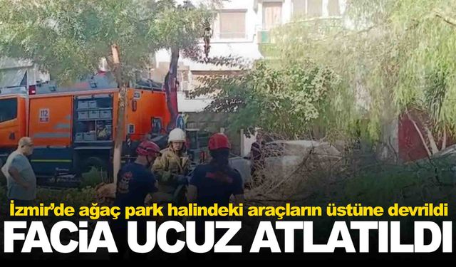 İzmir’de ağaç park halindeki araçların üzerine devrildi
