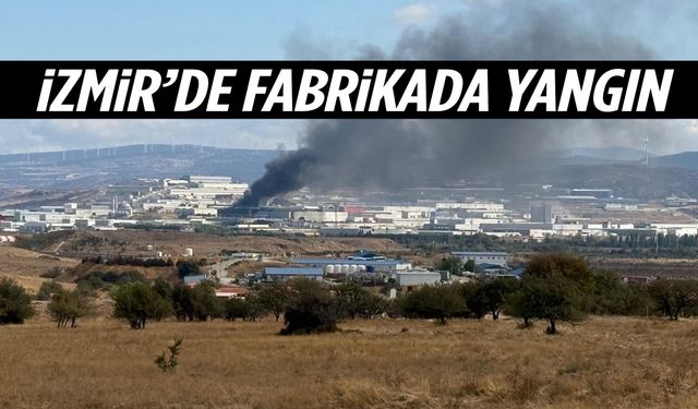 İzmir’de fabrikada yangın!