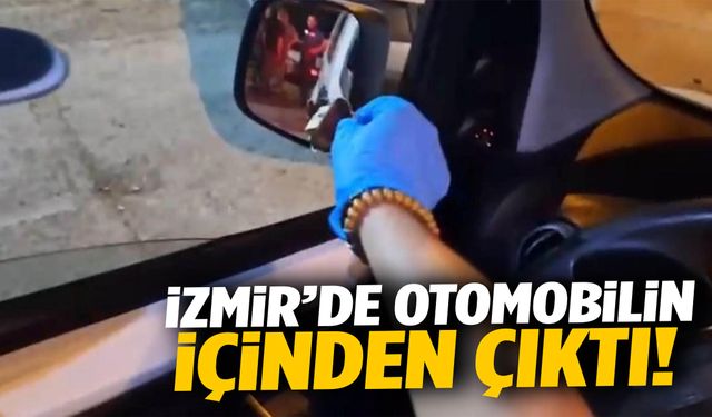 İzmir’de otomobilin içinden çıktı! Polisler çalışma başlattı…