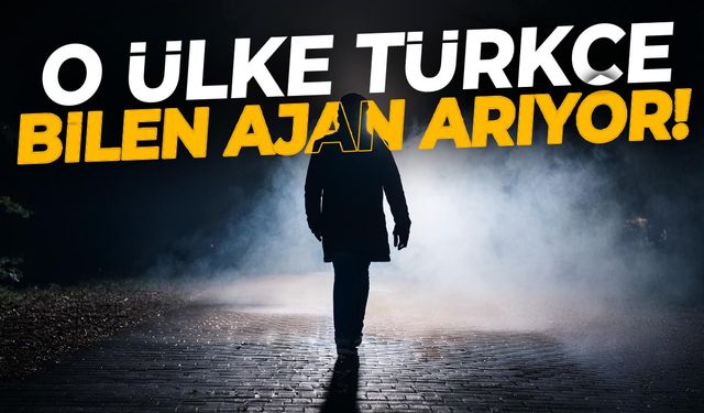 Komşu ülke Türkçe bilen ajan arıyor!