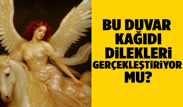 Bu duvar kağıdı dilekleri gerçekleştiriyor mu? Sosyal medya ikiye bölündü