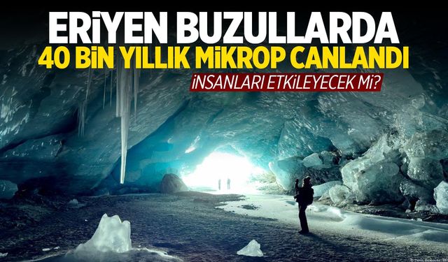 Eriyen buzullarda 40 bin yıllık mikrop canlandı