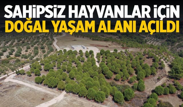 Manisa’nın ilçesinde 4.500 kapasiteli hayvan barınağı hizmete girdi!