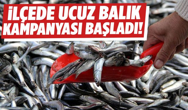 Manisa’nın ilçesinde ucuz balık kampanyası başladı!