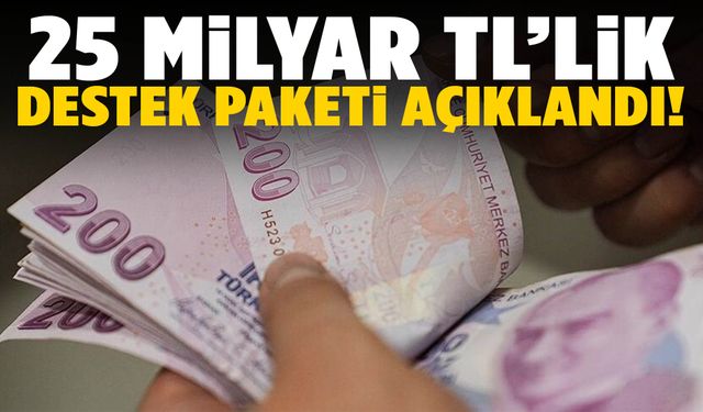 Başvurular başlıyor! 25 milyar TL’lik destek paketi açıklandı