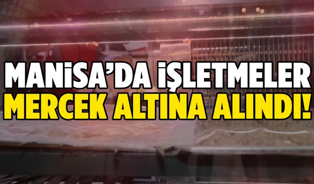 Manisa’da işletmeler mercek altına alındı!