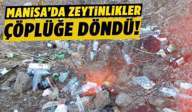 Manisa’da çiftçiden isyan: Zeytinlik çöplüğe döndü!