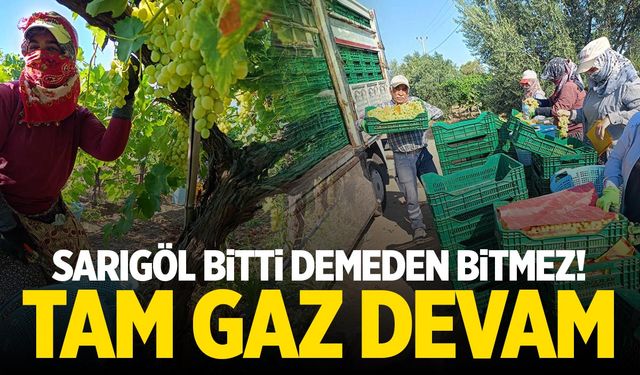 Sarıgöl bitti demeden bitmez... Tam gaz devam!