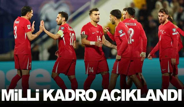 A Milli Takım kadrosu açıklandı… İlk kez davet edilenler var!