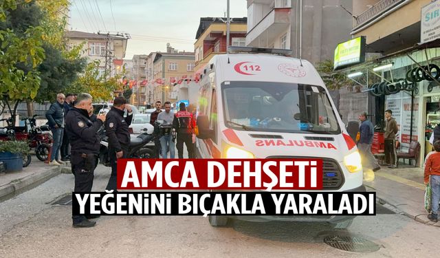 Amca dehşeti… Yeğenini bıçakla yaraladı!
