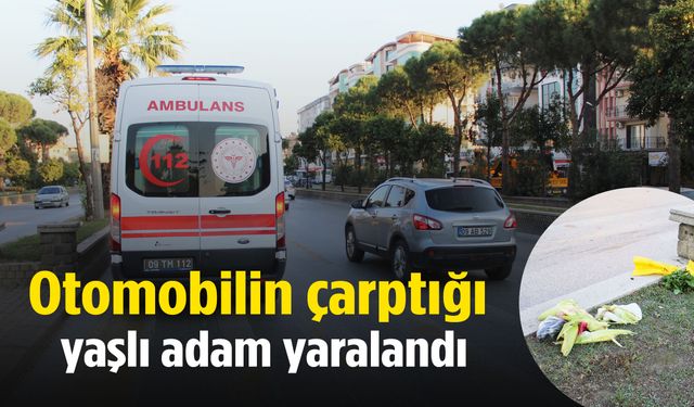Aydın’da yaşlı adama otomobil çarptı