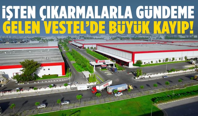 İşten çıkarmalarla gündeme gelen Vestel’de büyük kayıp!