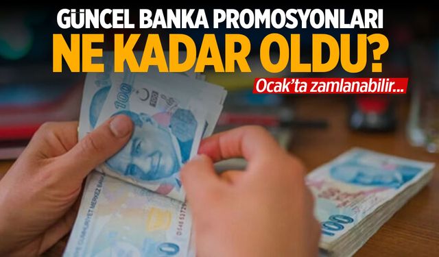 Emekli promosyonları 31 bin TL seviyesinde