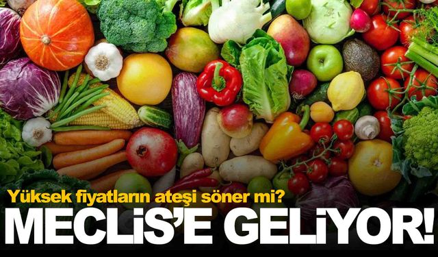 Fiyatları düşürecek hamle yılbaşında Meclis’e geliyor!