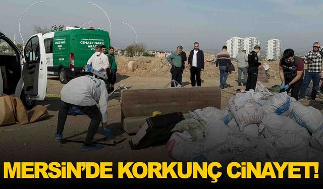 Her satırı korkunç... Öldürüp, tuzlayıp, halıya sarıp çekyatın içinde moloz alanına atmışlar!