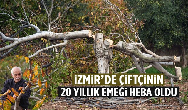İzmir’de çiftçinin 20 yıllık emeği heba oldu!