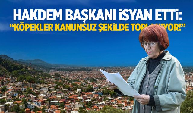 Manisa’da köpekler kanunsuz şekilde mi toplanıyor?