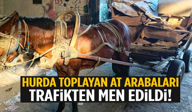 Manisa’da operasyon! İki at arabası trafikten men edildi...