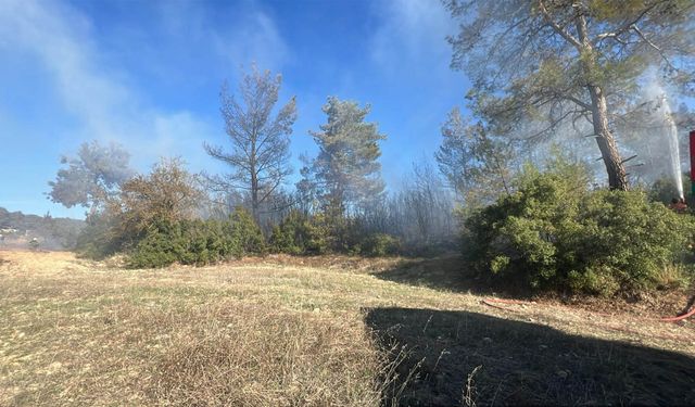 Yatağan’da arazi yangınları büyümeden söndürüldü