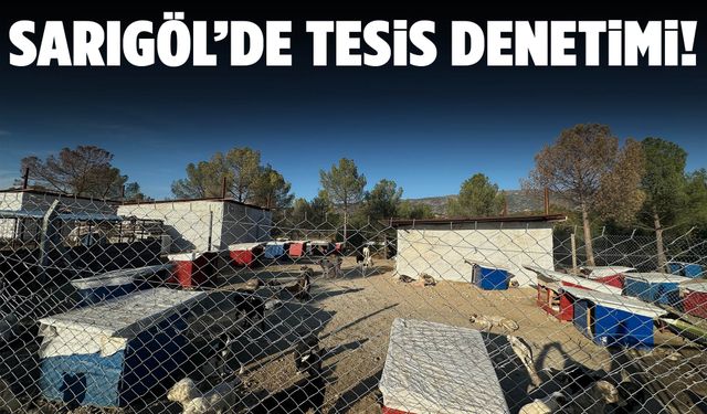 Sarıgöl’de sokak hayvanları için özel denetim!