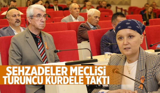 Şehzadeler Meclisi turuncu kurdele taktı