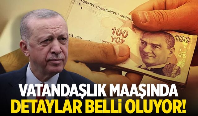 Vatandaşlık maaşında detaylar belli oluyor!